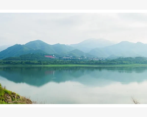 B2B竞争性销售中如何抢占先机
